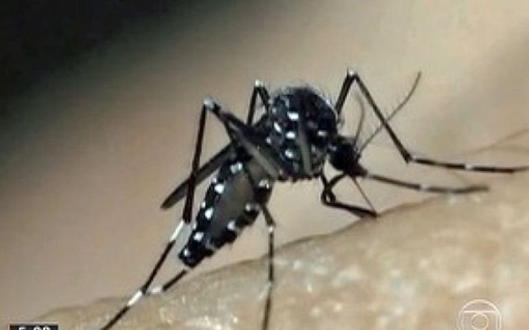 Casos de dengue saltam de 2 para 27 em menos de uma semana em Avaré