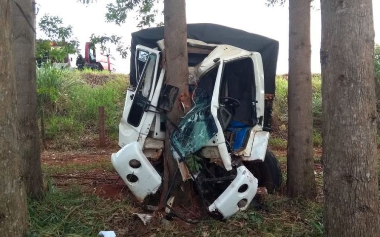 Motorista fica gravemente ferido após caminhão cair em ribanceira e bater em árvore