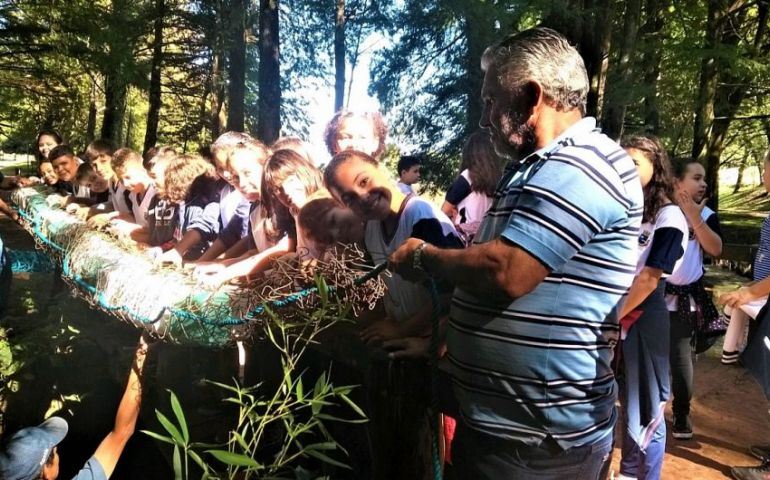 Instaladas as primeiras ecobarreiras no Horto Florestal