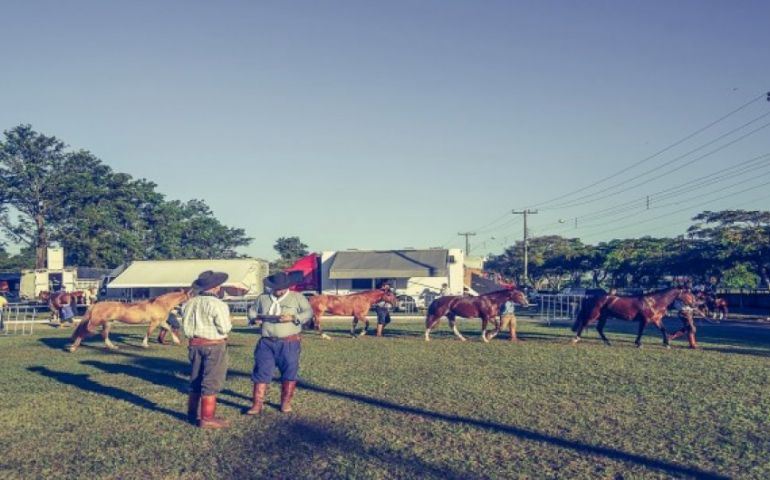 Avaré recebe etapa da Exposição Passaporte do Cavalo Crioulo