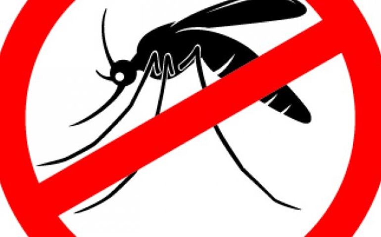 Prevenir-se é a melhor maneira de combater a dengue