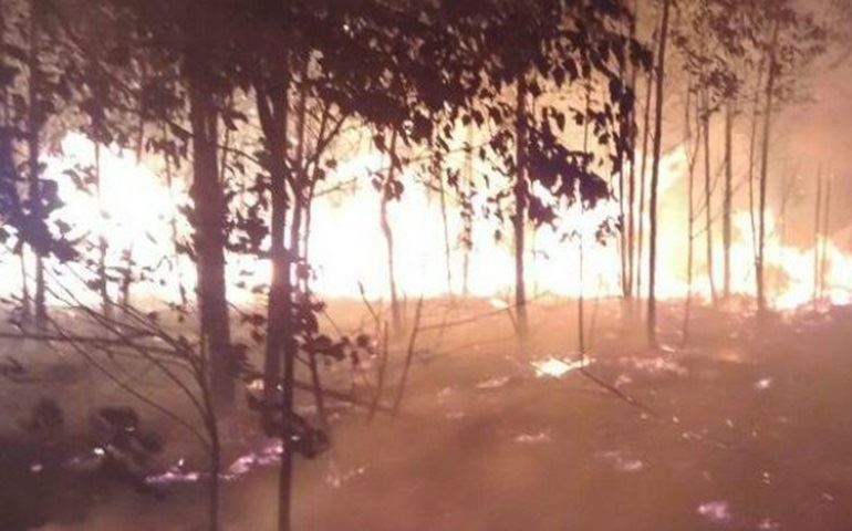 Incêndio atinge terreno de 20 mil metros quadrados em Itaí