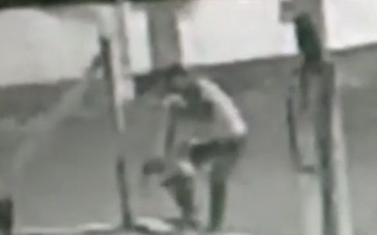 Vídeo mostra ação de ladrão que levou pit bull de concessionária