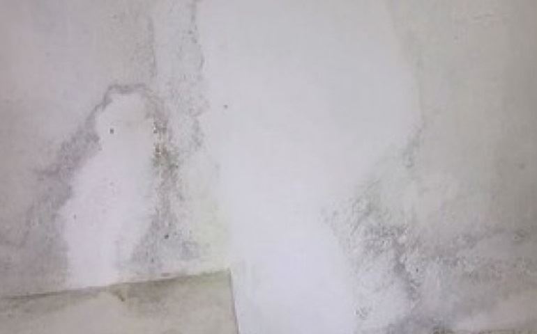Especialistas explicam como acabar com o mofo nas paredes