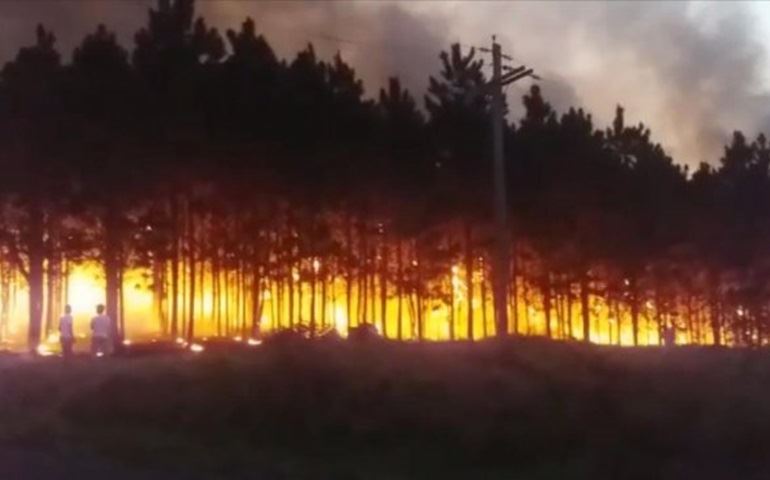 Bombeiros atendem quase 30 casos de fogo em mato em um dia na região de Itapetininga
