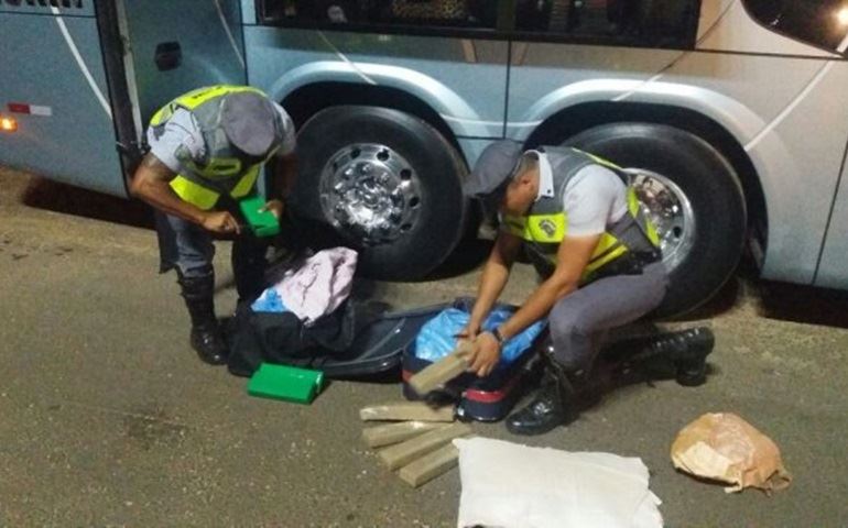 Passageiro de ônibus é preso com 35 tabletes de maconha na rodovia Castello Branco