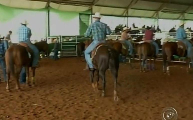 Congresso reúne 1,9 mil cavalos para competição em Avaré até 26 de abril