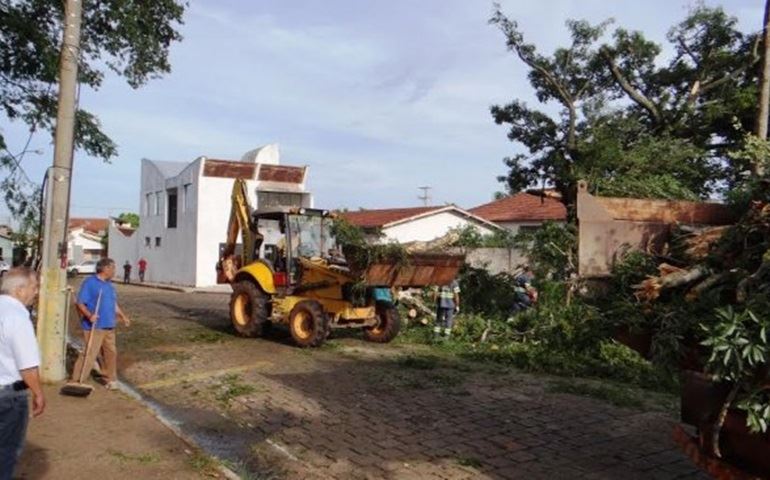 Prefeitura age na remoção  de árvores arrancadas por temporal