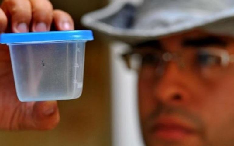 Em 5 anos, dengue custa R$ 4,2 bi