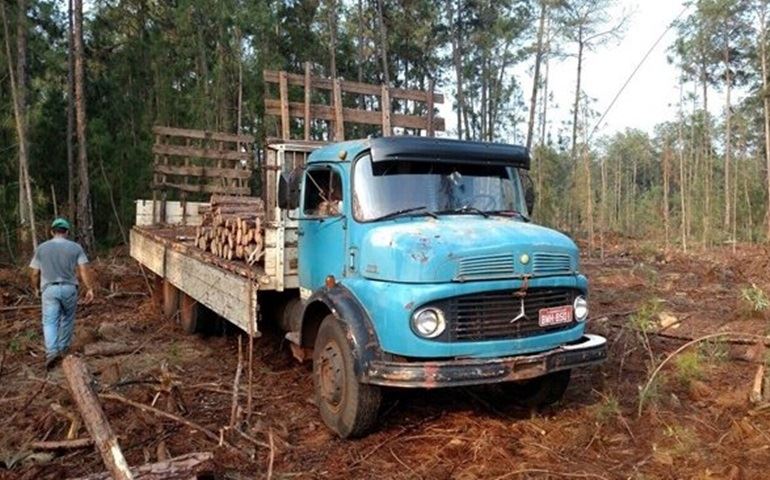 Polícia detém oito suspeitos por corte e venda ilegal de madeiras em Iaras