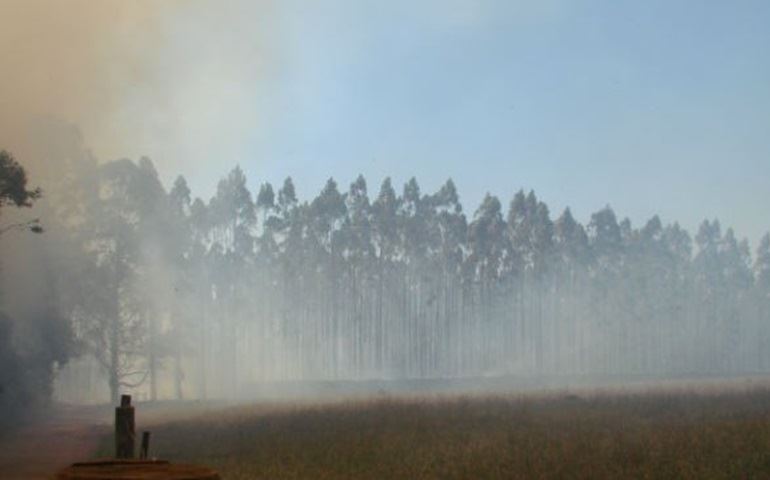 Fogo consome plantação de cana e eucalipto na região de Itapetininga