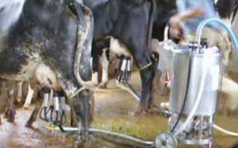 Encontro estadual de produtores de leite foi realizado em Avaré