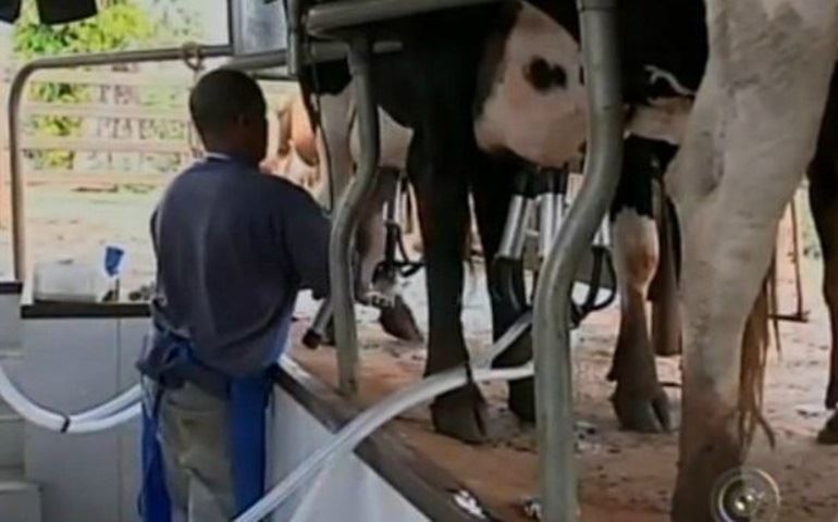 Convênio para a produção de leite deve fortalecer mercado em Avaré