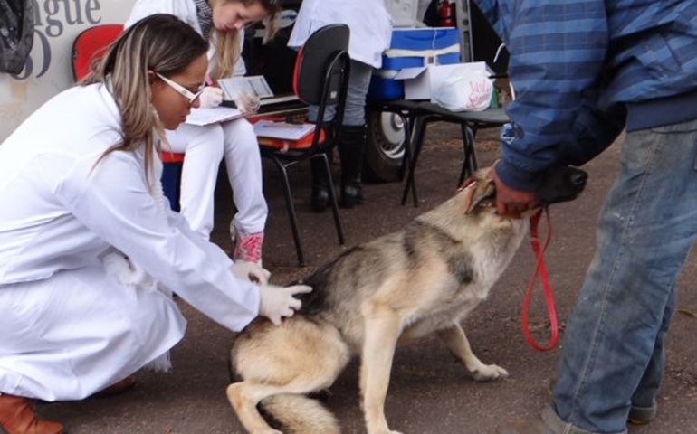 Vacinação contra Raiva Animal começa no dia 19 na zona urbana