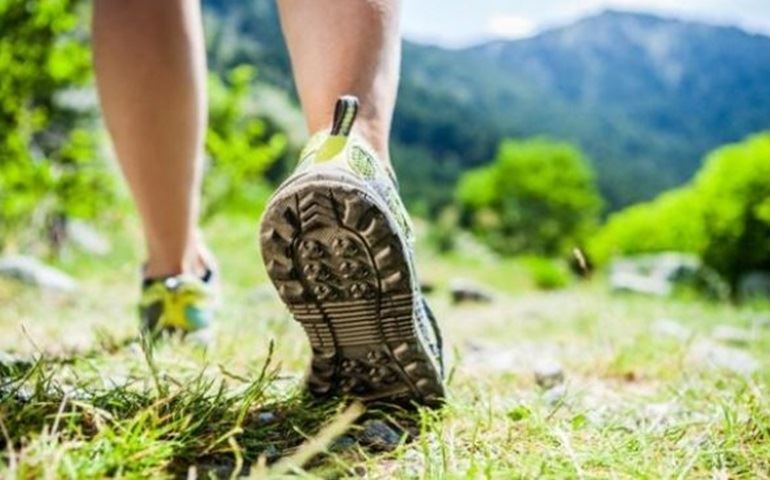SEME promove corrida e caminhada Horto Florestal