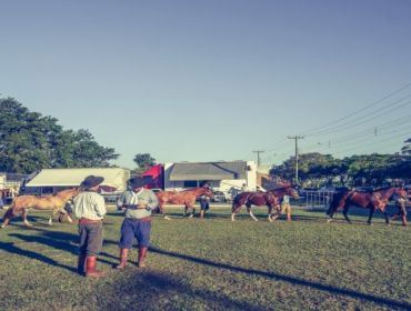 Avaré recebe etapa da Exposição Passaporte do Cavalo Crioulo
