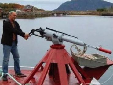 Noruega usa arpão-granada para matar baleias