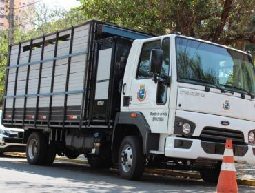 Prefeitura adapta caminhão para resgate de animais