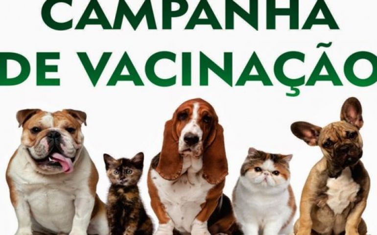 VISA prepara para Avaré, campanha de vacinação contra a raiva animal