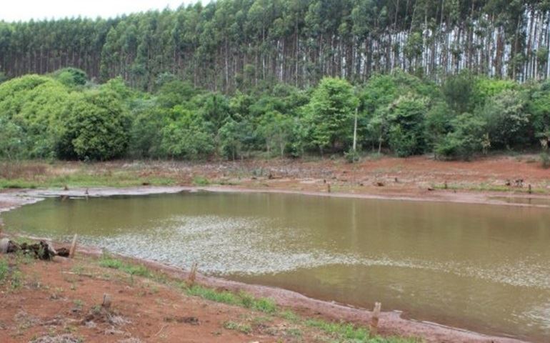 Estiagem prolongada causa prejuízo a agricultores na região de Avaré