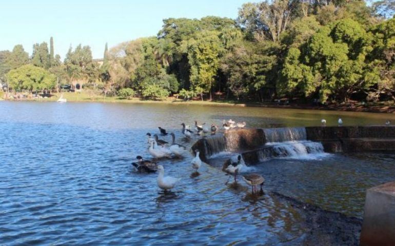 Concorrência para exploração da lanchonete do Horto foi adiada