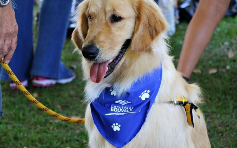 Medicina Veterinária e Zootecnia Eduvale promovem a 2a Cãominhada