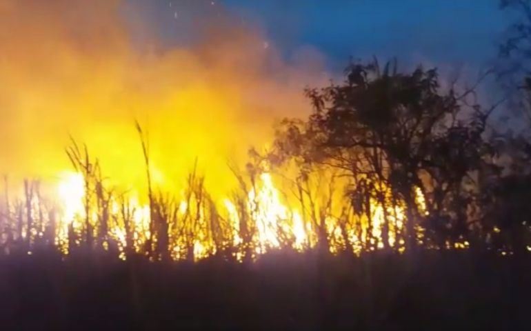 Queimada atinge plantação de cana e área de preservação permanente em Cerqueira César