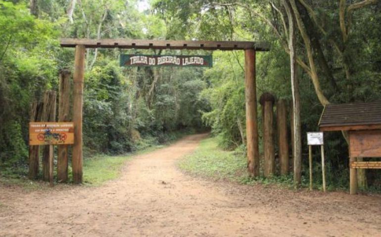 Casal é vítima de abelhas na trilha do Horto Florestal