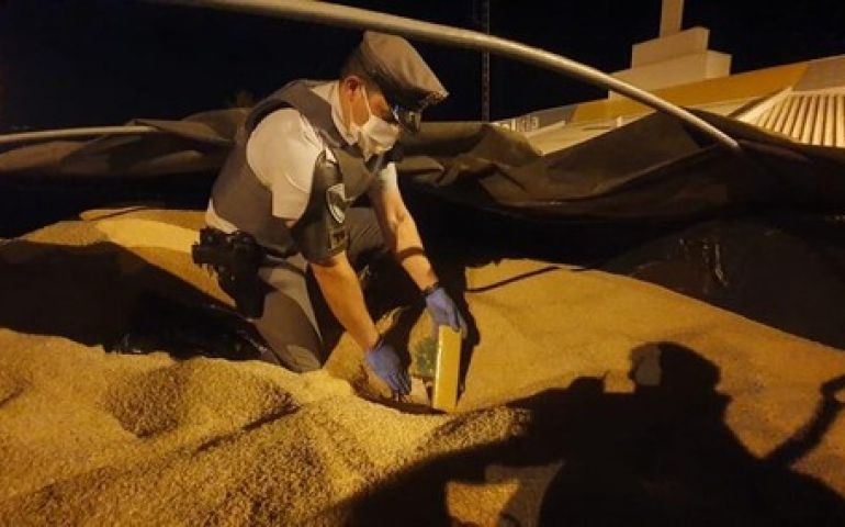 Caminhoneiro é preso com mais de uma tonelada de maconha escondida em carga de arroz