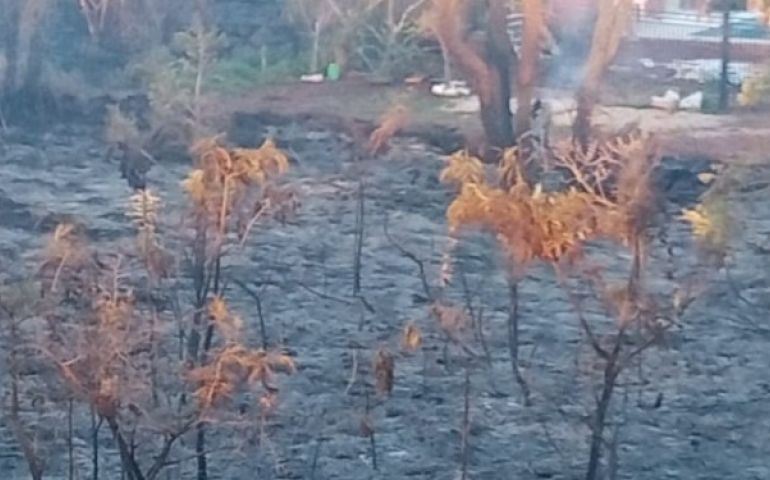 QUEIMADAS EM MATA VEM INCOMODANDO MORADORES DO PORTO MIRAMAR EM AVARÉ