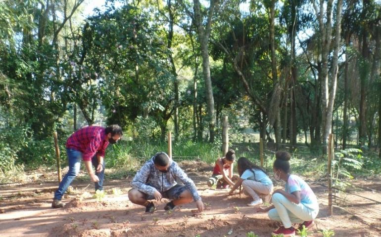 Projeto cria horta orgânica no Horto Florestal