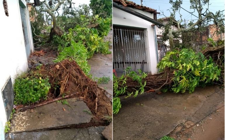 Chuva provoca alagamentos e queda de árvores em Avaré