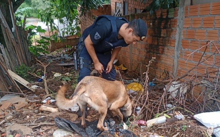 Com ajuda de cão farejador, Guarda Municipal apreende várias porções de drogas em Itararé