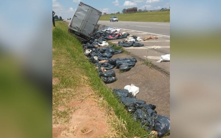 Caminhão que levava cachorros mortos para incineração tomba em rodovia no interior de SP