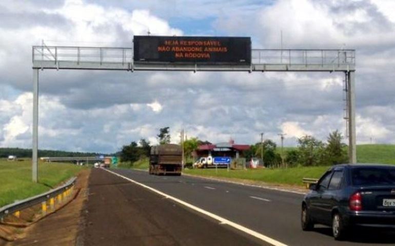 CCR SPVias apoia campanha da ARTESP sobre abandono de animais na rodovia