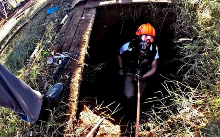 Cão é resgatado por bombeiros após cair em poço de quase 15 metros de profundidade