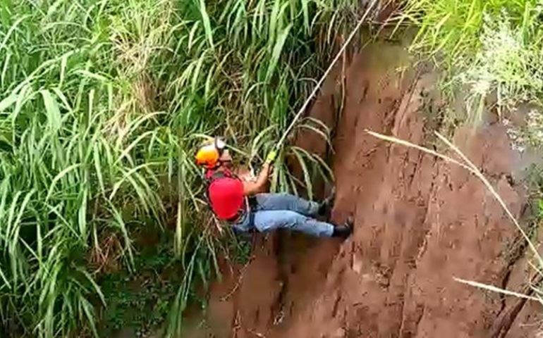 Bombeiro faz rapel em erosão para resgatar cachorro no interior de SP