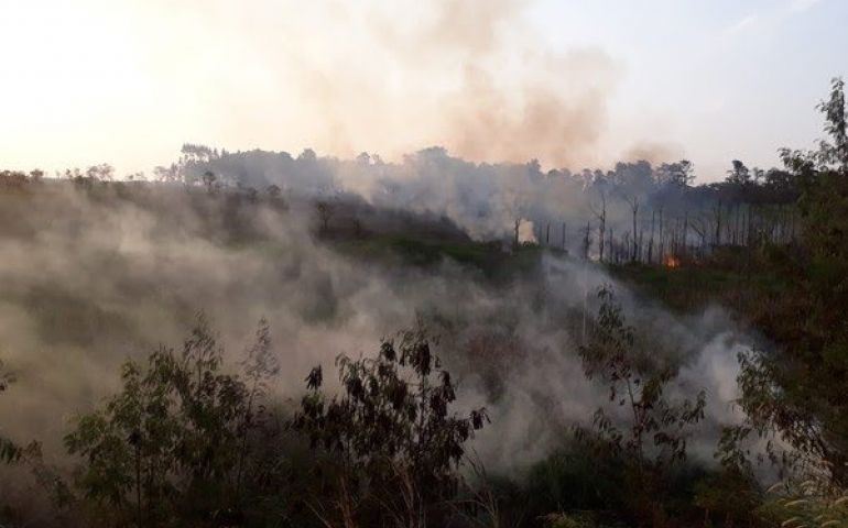 Fogo atinge área de mata e mobiliza bombeiros em Avaré