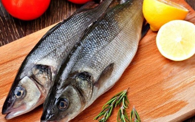 Porque os peixes são recomendados contra câncer?