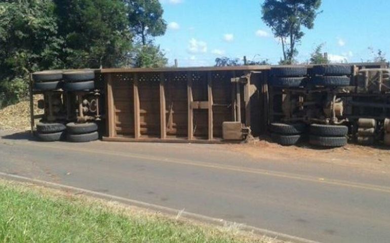 Treminhão carregado tomba e carga de cana-de-açúcar espalha pela pista