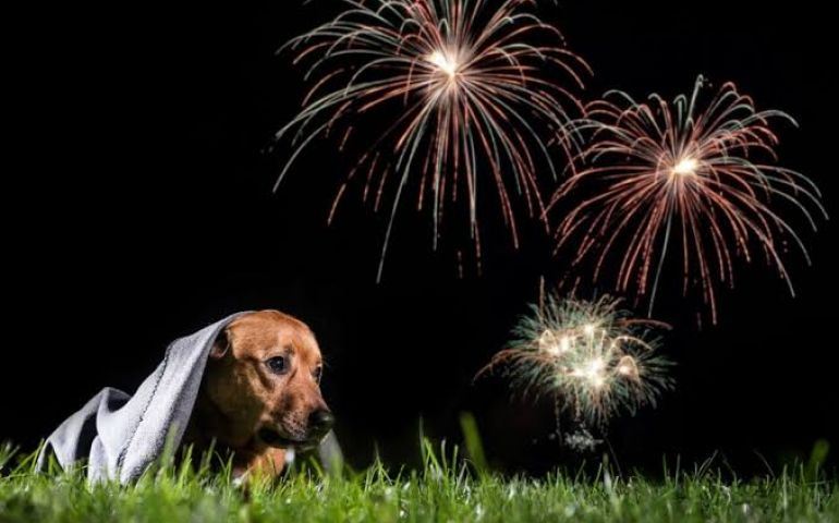 Câmara sanciona lei dos fogos de artifício