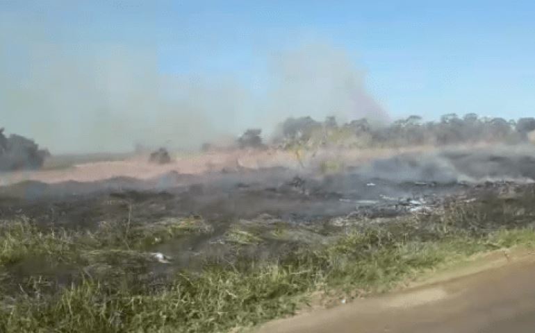 QUEIMADA CONSOME GRANDE ÁREA DE VEGETAÇÃO EM AVARÉ