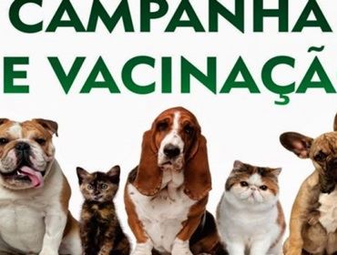 VISA prepara para Avaré, campanha de vacinação contra a raiva animal