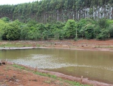 Estiagem prolongada causa prejuízo a agricultores na região de Avaré