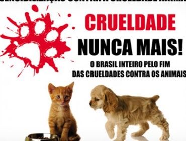 Homem é indiciado por crueldade contra animais em Avaré