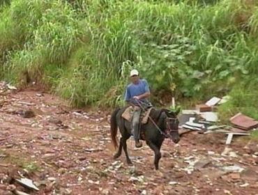 Mato alto, buracos e entulhos invadem rua e via desaparece em bairro de Avaré