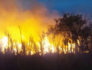 Queimada atinge plantação de cana e área de preservação permanente em Cerqueira César