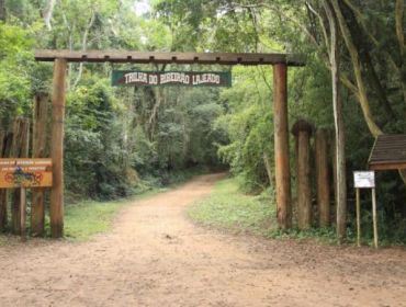 Casal é vítima de abelhas na trilha do Horto Florestal