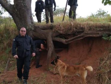 COM CÃES FAREJADORES, PC ENCONTRA DROGAS E PRENDE 4 POR TRÁFICO EM AVARÉ