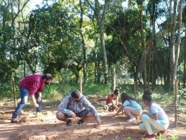 Projeto cria horta orgânica no Horto Florestal